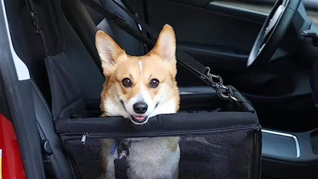 Cadeira assento para transporte
