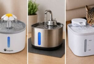 Fonte de água para gatos