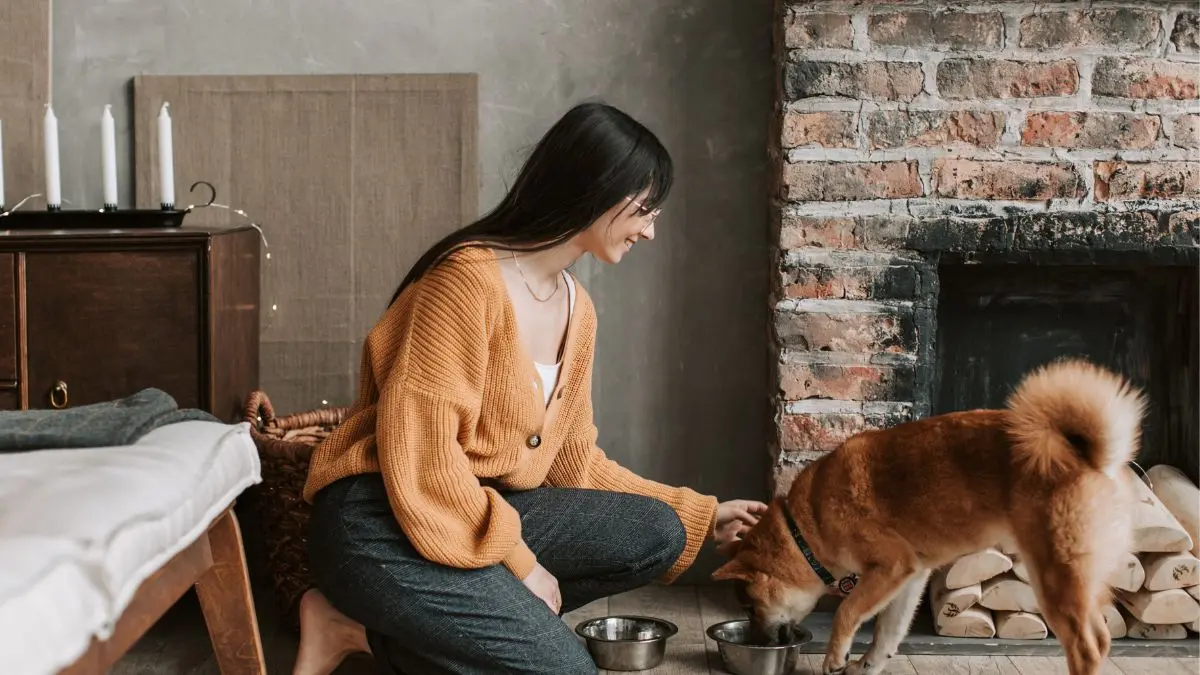 Ração super premium