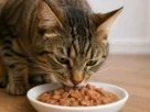 Sachês para gatos