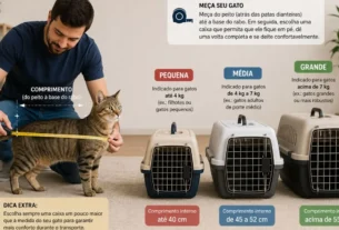 Caixa de transporte para gatos