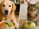 BARF para cães e gatos