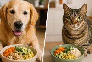 BARF para cães e gatos