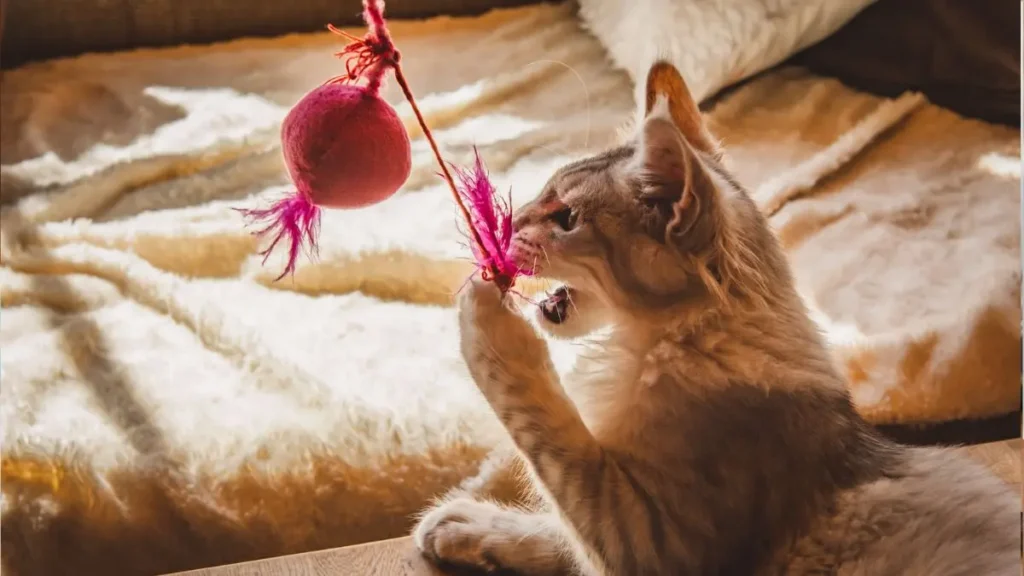 Introdução de um Novo Pet em Casa: Como Fazer com Segurança 3 Introducao de um Novo Pet em casa