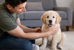 Parvovirose em cães