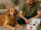 Primeiros socorros para cães