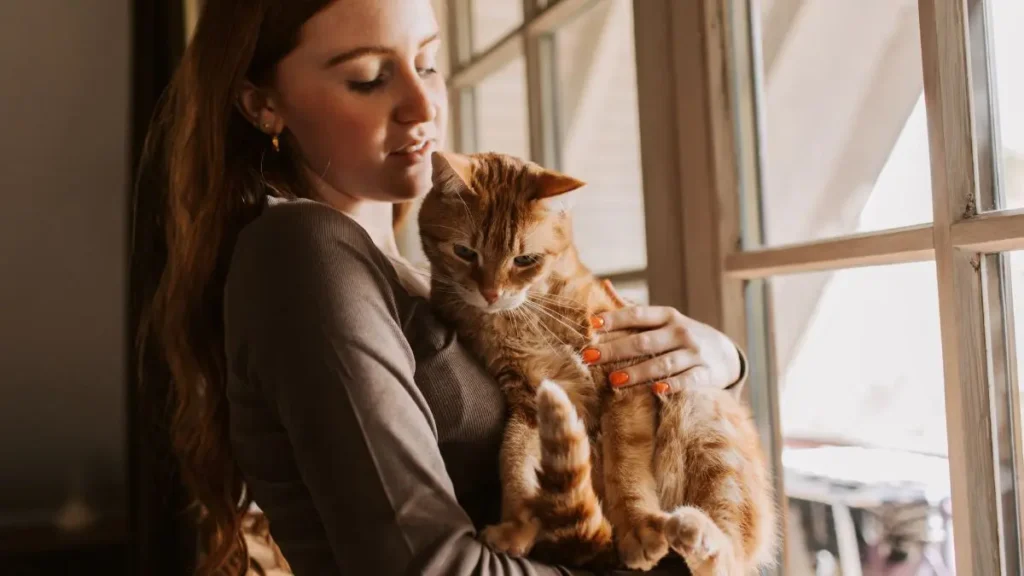 Gatos entendem quando falamos com eles? Entenda os sinais 2 gatos entendem quando falamos