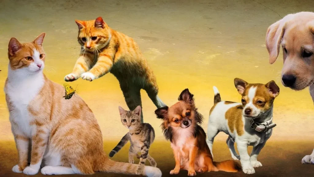 Raiva em cães e gatos: prevenção e vacina 2 raiva canina e felina