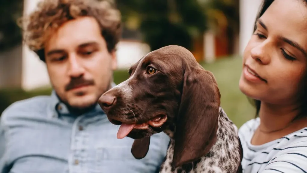 Doenca Cardiaca em Cachorro Idoso