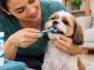 Higiene bucal de cães e gatos