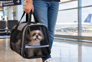 Viajar de avião com pet